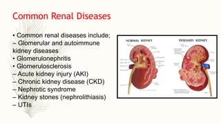 Common Renal Diseases
• Common renal diseases include;
– Glomerular and autoimmune
kidney diseases
• Glomerulonephritis
• Glomerulosclerosis
– Acute kidney injury (AKI)
– Chronic kidney disease (CKD)
– Nephrotic syndrome
– Kidney stones (nephrolithiasis)
– UTIs
 
