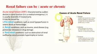 Renal failure can be : acute or chronic
Acute renal failure (ARF): Characterized by sudden
decline in renal function {it is a medical emergency ). It
is usually reversible if treated early.
It may be caused by:
1.Pre-renal conditions: such as renal hypoperfusion in
severe shock or hemorrhage .
2. Renal conditions: such as trauma, renal disease {e.g.
glomerular diseases) or drug damage .
3. Post-renal conditions: such as obstruction of renal
outflow by calculi,prostatic hypertrophy or tumor.
 