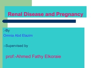 Renal Disease and Pregnancy

:-By
Omnia Abd Elazim

:-Supervised by


 prof:-Ahmed Fathy Elkoraie
 