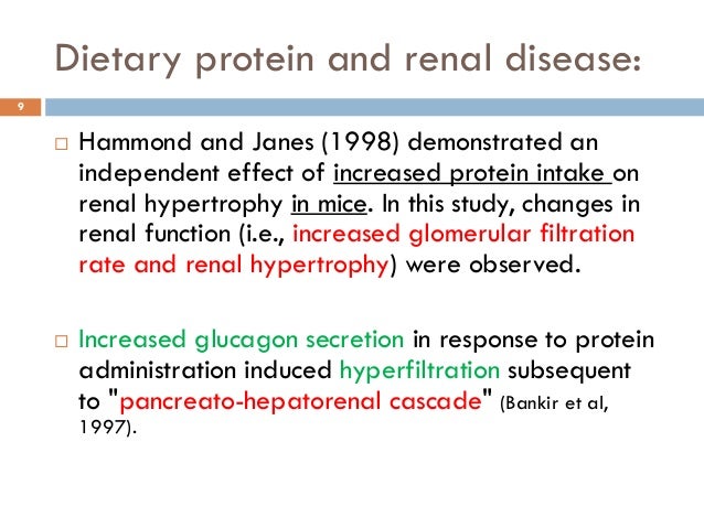 why does a high protein diet increase gfr