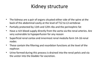 Kidney structure
• The kidneys are a pair of organs situated either side of the spine at the
back of the abdominal cavity at the level of T12 to L3 vertebrae
• Partially protected by 11th and 12th ribs and the perinephric fat
• Have a rich blood supply directly from the aorta via the renal arteries. Are
very vulnerable to hypoperfusion for any reason
• Superficial renal cortex and innermost renal medulla form 14–16 renal
nodes
• These contain the filtering and resorbtion functions at the level of the
nephron
• Urine formed during this process is drained into the renal pelvis and via
the ureter into the bladder for excretion.
 
