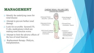 MANAGEMENT
 Identify the underlying cause for
renal disease
 Attempt to prevent further renal
damage
 Look for reversible factors(UTI,
U.obs, medications) which are
making renal function worse
 Attempt to limit the adverse effects of
the loss of renal function
 Replacement therapy- Dialysis,
transplantation.
 