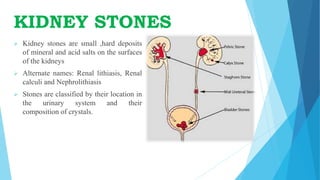 KIDNEY STONES
 Kidney stones are small ,hard deposits
of mineral and acid salts on the surfaces
of the kidneys
 Alternate names: Renal lithiasis, Renal
calculi and Nephrolithiasis
 Stones are classified by their location in
the urinary system and their
composition of crystals.
 