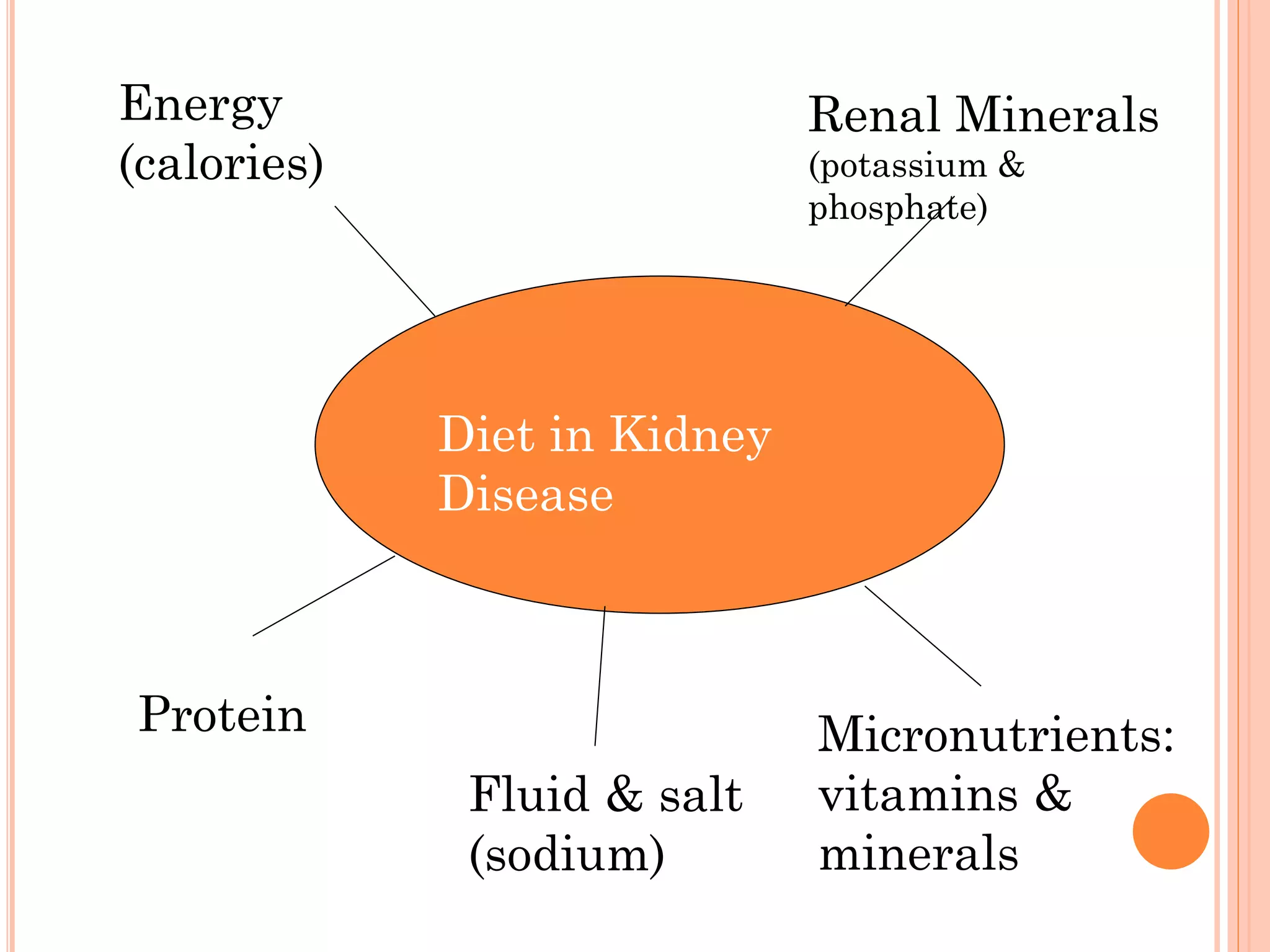 PDFAAKP Nutrition Counter