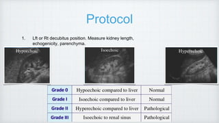 Protocol
1. Lft or Rt decubitus position. Measure kidney length,
echogenicity, parenchyma.
 