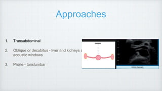 Approaches
1. Transabdominal
2. Oblique or decubitus - liver and kidneys as
acoustic windows
3. Prone - tanslumbar
 
