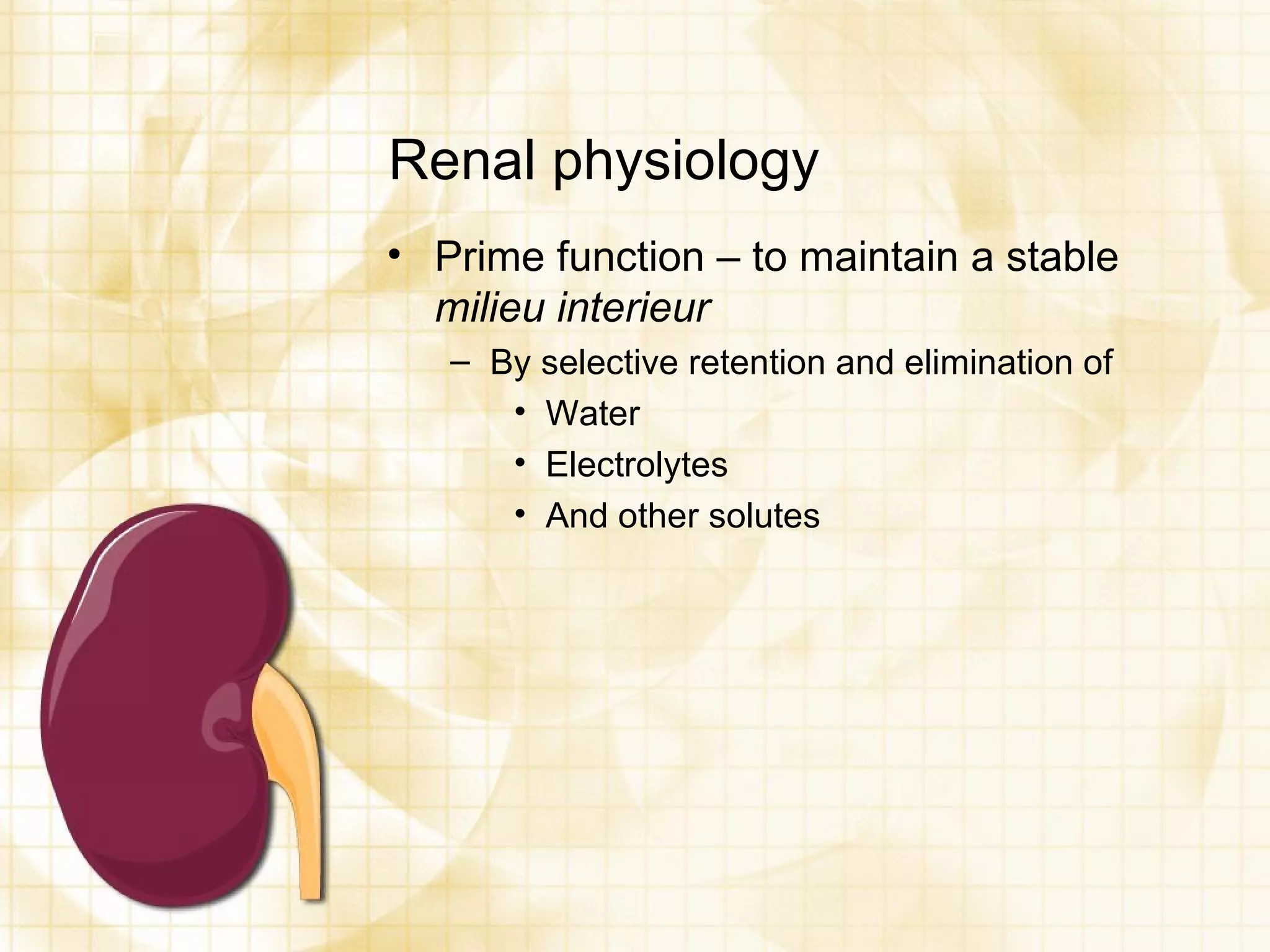 Renal physiology Prime function – to maintain a stable  milieu interieur By selective retention and elimination of Water Electrolytes And other solutes 