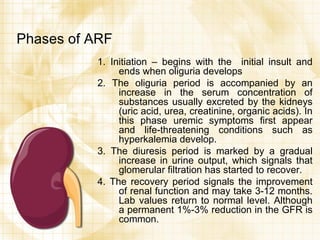 Phases of ARF 1. Initiation – begins with the  initial insult and ends when oliguria develops 2. The oliguria period is accompanied by an increase in the serum concentration of substances usually excreted by the kidneys (uric acid, urea, creatinine, organic acids). In this phase uremic symptoms first appear and life-threatening conditions such as hyperkalemia develop. 3. The diuresis period is marked by a gradual increase in urine output, which signals that glomerular filtration has started to recover. 4. The recovery period signals the improvement of renal function and may take 3-12 months. Lab values return to normal level. Although a permanent 1%-3% reduction in the GFR is common. 