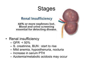 Stages Renal insufficiency  GFR  < 50% S. creatinine, BUN : start to rise Mild anemia, hyposthenuria, nocturia Increase in serum PTH Azotemia/metabolic acidosis may occur 