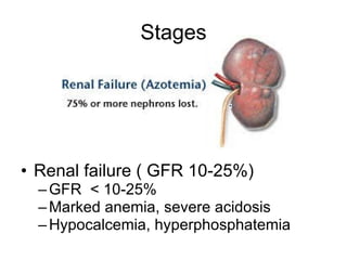 Stages Renal failure ( GFR 10-25%) GFR  < 10-25% Marked anemia, severe acidosis Hypocalcemia, hyperphosphatemia                                                                                                  