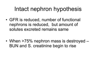 Intact nephron hypothesis GFR is reduced, number of functional nephrons is reduced,  but amount of solutes excreted remains same  When >75% nephron mass is destroyed – BUN and S. creatinine begin to rise 