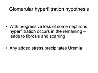 Glomerular hyperfiltration hypothesis With progressive loss of some nephrons, hyperfiltration occurs in the remaining – leads to fibrosis and scarring Any added stress precipitates Uremia 