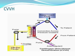 CVVH