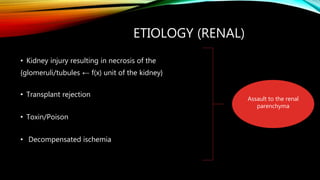 ETIOLOGY (RENAL)
• Kidney injury resulting in necrosis of the
{glomeruli/tubules ← f(x) unit of the kidney}
• Transplant rejection
• Toxin/Poison
• Decompensated ischemia
Assault to the renal
parenchyma
 