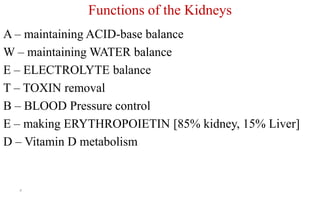 Functions of the Kidneys
A – maintaining ACID-base balance
W – maintaining WATER balance
E – ELECTROLYTE balance
T – TOXIN removal
B – BLOOD Pressure control
E – making ERYTHROPOIETIN [85% kidney, 15% Liver]
D – Vitamin D metabolism
5
 