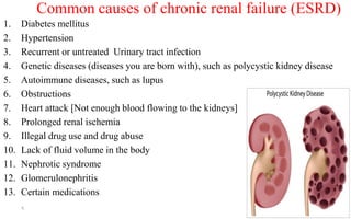 Common causes of chronic renal failure (ESRD)
1. Diabetes mellitus
2. Hypertension
3. Recurrent or untreated Urinary tract infection
4. Genetic diseases (diseases you are born with), such as polycystic kidney disease
5. Autoimmune diseases, such as lupus
6. Obstructions
7. Heart attack [Not enough blood flowing to the kidneys]
8. Prolonged renal ischemia
9. Illegal drug use and drug abuse
10. Lack of fluid volume in the body
11. Nephrotic syndrome
12. Glomerulonephritis
13. Certain medications
9
 