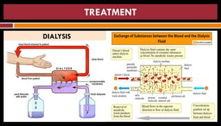 Pathophysiology of Renal failure | PDF