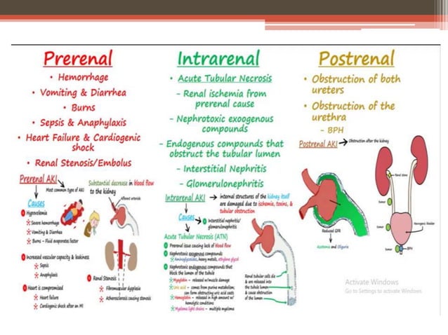 Renal failure in children | PPTX | Blood Disorders | Diseases and ...