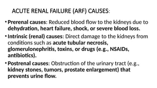 ACUTE RENAL FAILURE (ARF) CAUSES:
•Prerenal causes: Reduced blood flow to the kidneys due to
dehydration, heart failure, shock, or severe blood loss.
•Intrinsic (renal) causes: Direct damage to the kidneys from
conditions such as acute tubular necrosis,
glomerulonephritis, toxins, or drugs (e.g., NSAIDs,
antibiotics).
•Postrenal causes: Obstruction of the urinary tract (e.g.,
kidney stones, tumors, prostate enlargement) that
prevents urine flow.
 
