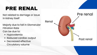 PRE RENAL
Not related to damage or issue
in kidney itself
Majorly due to fall in Glomerular
Filtration Rate
Can be due to:
Hypovolemia
Reduced cardiac output
Decreased effective
Circulatory volume
Pre renal
Renal
Post renal
 