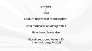 GFR falls
RAAS
Sodium and water reabsorption
Urea reabsorption along with it
Blood urea levels rise
Blood urea : creatinine > 20
(normal range 5-20:1)
 