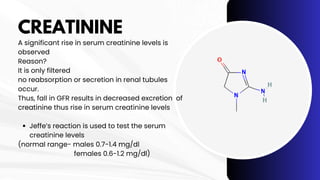 CREATININE
A significant rise in serum creatinine levels is
observed
Reason?
It is only filtered
no reabsorption or secretion in renal tubules
occur.
Thus, fall in GFR results in decreased excretion of
creatinine thus rise in serum creatinine levels
Jeffe’s reaction is used to test the serum
creatinine levels
(normal range- males 0.7-1.4 mg/dl
females 0.6-1.2 mg/dl)
 