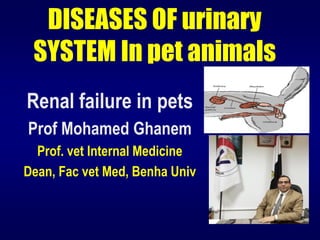 DISEASES OF urinary
SYSTEM In pet animals
Renal failure in pets
Prof Mohamed Ghanem
Prof. vet Internal Medicine
Dean, Fac vet Med, Benha Univ
 