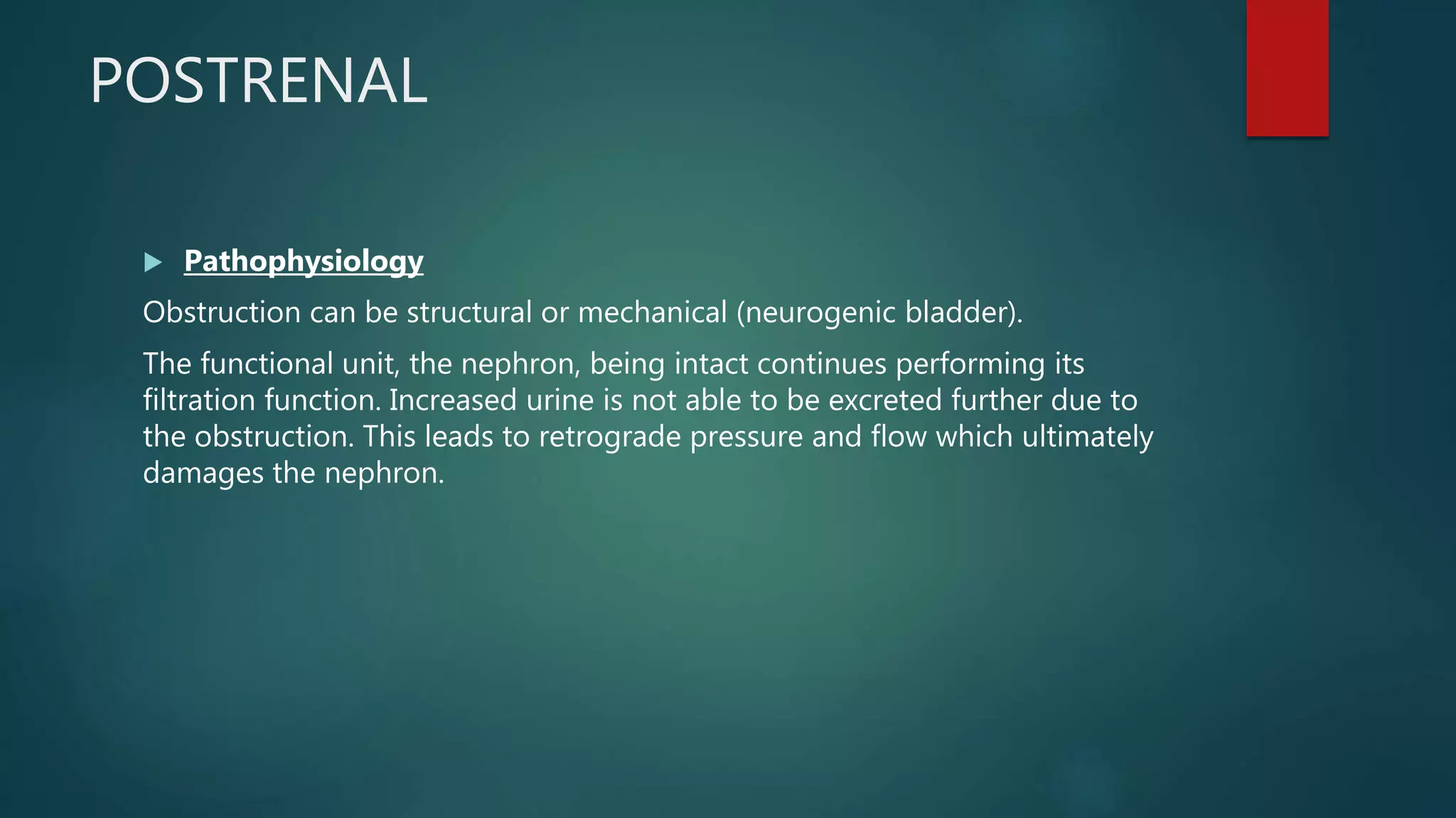 POSTRENAL
 Pathophysiology
Obstruction can be structural or mechanical (neurogenic bladder).
The functional unit, the nephron, being intact continues performing its
filtration function. Increased urine is not able to be excreted further due to
the obstruction. This leads to retrograde pressure and flow which ultimately
damages the nephron.
 