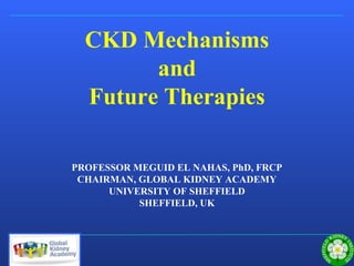 Sheffield Kidney Institute
CKD Mechanisms
and
Future Therapies
PROFESSOR MEGUID EL NAHAS, PhD, FRCP
CHAIRMAN, GLOBAL KIDNEY ACADEMY
UNIVERSITY OF SHEFFIELD
SHEFFIELD, UK
 