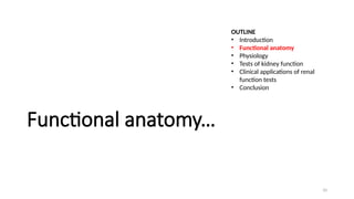 10
Functional anatomy…
OUTLINE
• Introduction
• Functional anatomy
• Physiology
• Tests of kidney function
• Clinical applications of renal
function tests
• Conclusion
 