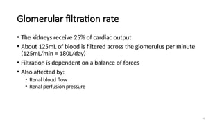 46
Glomerular filtration rate
• The kidneys receive 25% of cardiac output
• About 125mL of blood is filtered across the glomerulus per minute
(125mL/min ≡ 180L/day)
• Filtration is dependent on a balance of forces
• Also affected by:
• Renal blood flow
• Renal perfusion pressure
 