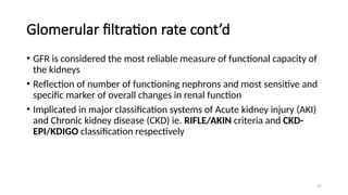 47
Glomerular filtration rate cont’d
• GFR is considered the most reliable measure of functional capacity of
the kidneys
• Reflection of number of functioning nephrons and most sensitive and
specific marker of overall changes in renal function
• Implicated in major classification systems of Acute kidney injury (AKI)
and Chronic kidney disease (CKD) ie. RIFLE/AKIN criteria and CKD-
EPI/KDIGO classification respectively
 