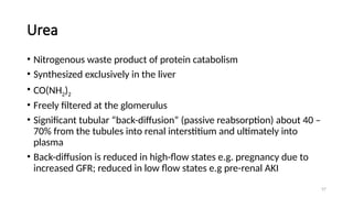 57
Urea
• Nitrogenous waste product of protein catabolism
• Synthesized exclusively in the liver
• CO(NH2)2
• Freely filtered at the glomerulus
• Significant tubular “back-diffusion” (passive reabsorption) about 40 –
70% from the tubules into renal interstitium and ultimately into
plasma
• Back-diffusion is reduced in high-flow states e.g. pregnancy due to
increased GFR; reduced in low flow states e.g pre-renal AKI
 
