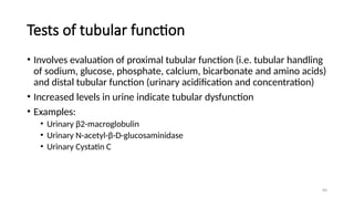 60
Tests of tubular function
• Involves evaluation of proximal tubular function (i.e. tubular handling
of sodium, glucose, phosphate, calcium, bicarbonate and amino acids)
and distal tubular function (urinary acidification and concentration)
• Increased levels in urine indicate tubular dysfunction
• Examples:
• Urinary β2-macroglobulin
• Urinary N-acetyl-β-D-glucosaminidase
• Urinary Cystatin C
 