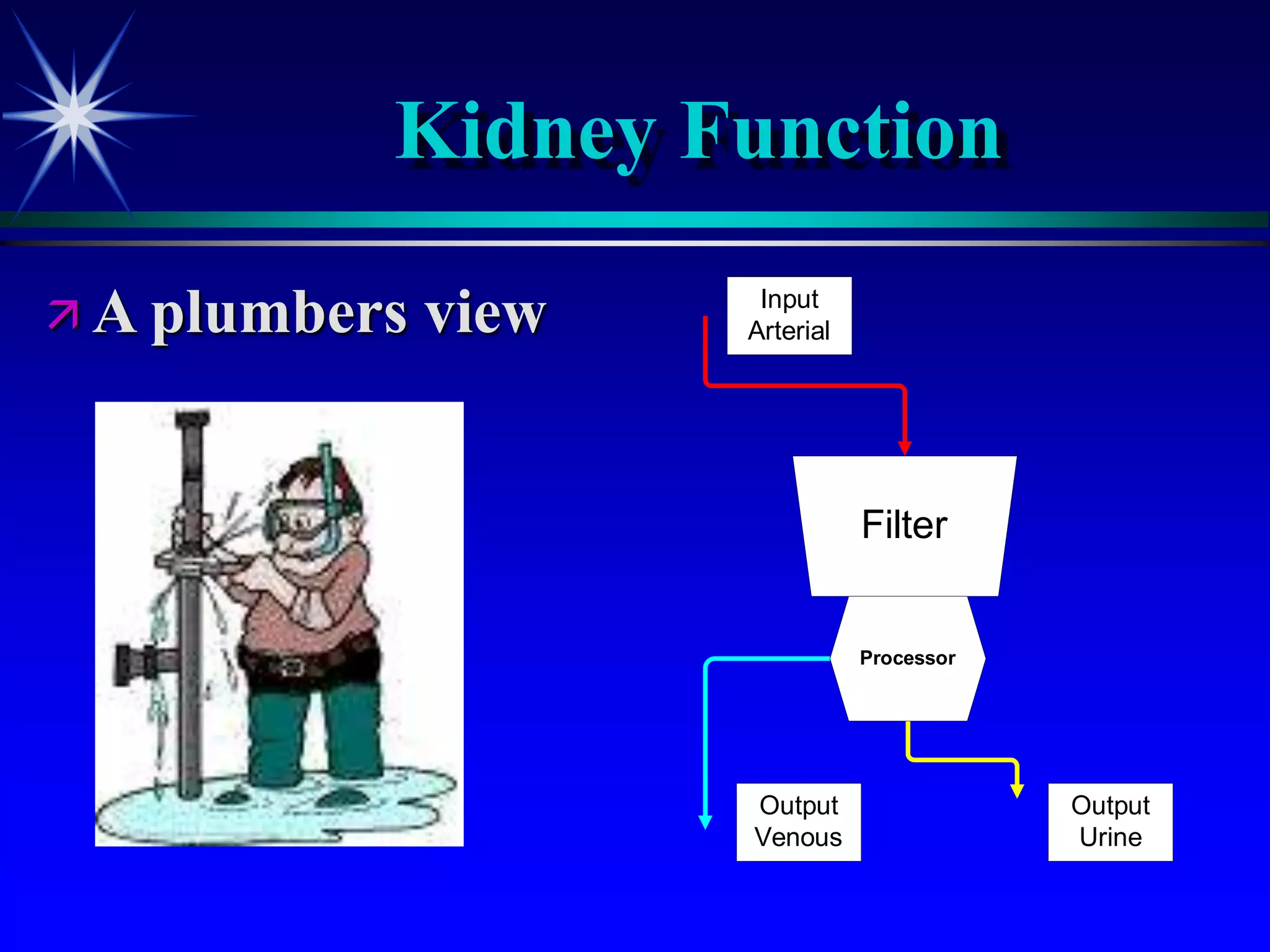 Kidney Function
 A plumbers view
Filter
Processor
Input
Arterial
Output
Venous
Output
Urine
 