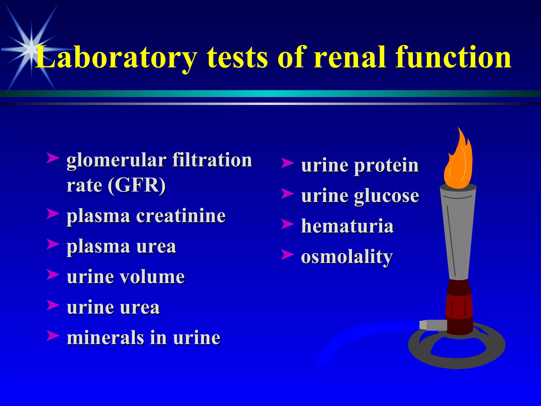 Laboratory tests of renal function glomerular filtration rate (GFR) plasma creatinine plasma urea urine volume urine urea minerals in urine urine protein urine glucose hematuria osmolality 