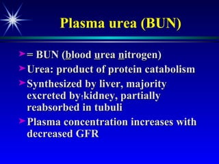 Plasma urea (BUN) = BUN ( b lood  u rea  n itrogen) Urea: product of protein catabolism Synthesized by liver, majority excreted by kidney, partially reabsorbed in tubuli  Plasma concentration increases with decreased GFR 