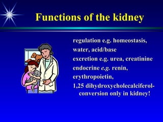 Functions   of the kidney regulation e.g. homeostasis, water, acid/base excretion e.g. urea, creatinine endocrine  e.g.  renin, erythropoietin,  1,25 dihydroxycholecalciferol- conversion only in kidney!  