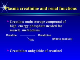 Plasma creatinine and renal functions Creatine : main storage compound of high  energy phosphate needed for muscle  metabolism. Creatinine: anhydride of creatine! Creatine Creatinine ( Waste product) H2O 