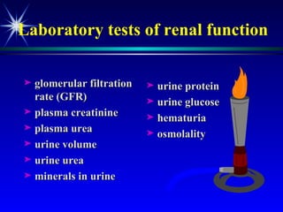 Laboratory tests of renal function glomerular filtration rate (GFR) plasma creatinine plasma urea urine volume urine urea minerals in urine urine protein urine glucose hematuria osmolality 