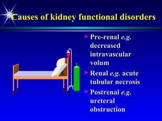 Causes of kidney functional disorders Pre-renal  e.g.  decreased intravascular volum  Renal  e.g.  acute tubular necrosis Postrenal  e.g.  ureteral obstruction 