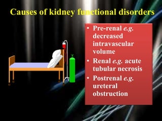 Causes of kidney functional disorders
• Pre-renal e.g.
decreased
intravascular
volume
• Renal e.g. acute
tubular necrosis
• Postrenal e.g.
ureteral
obstruction

 