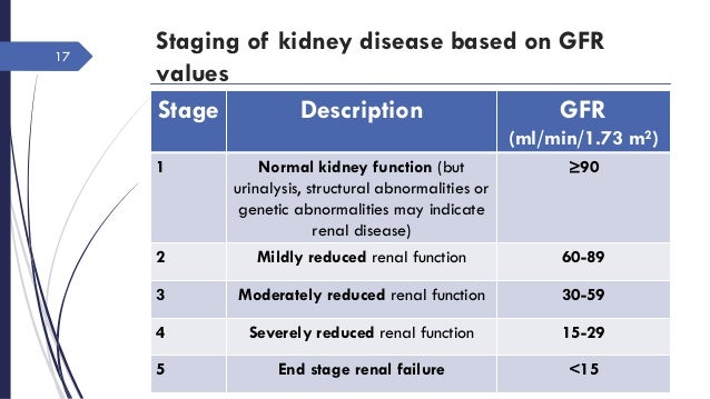 Who should have a kidney function test?