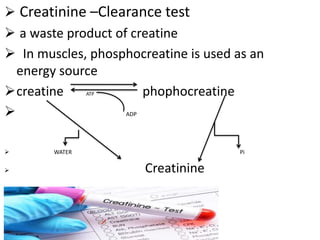  Creatinine –Clearance test
 a waste product of creatine
 In muscles, phosphocreatine is used as an
energy source
creatine ATP phophocreatine
 ADP
 WATER Pi
 Creatinine
 