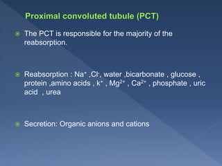 RENAL FUNCTION TEST.pptx