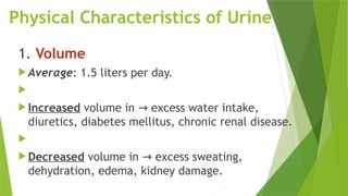 Physical Characteristics of Urine
1. Volume
 Average: 1.5 liters per day.

 Increased volume in excess water intake,
→
diuretics, diabetes mellitus, chronic renal disease.

 Decreased volume in excess sweating,
→
dehydration, edema, kidney damage.
 
