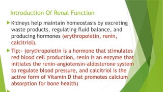 Introduction Of Renal Function
 Kidneys help maintain homeostasis by excreting
waste products, regulating fluid balance, and
producing hormones (erythropoietin, renin,
calcitriol).
 Tip:- (erythropoietin is a hormone that stimulates
red blood cell production, renin is an enzyme that
initiates the renin-angiotensin-aldosterone system
to regulate blood pressure, and calcitriol is the
active form of Vitamin D that promotes calcium
absorption for bone health)
 