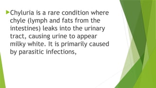 Chyluria is a rare condition where
chyle (lymph and fats from the
intestines) leaks into the urinary
tract, causing urine to appear
milky white. It is primarily caused
by parasitic infections,
 