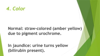4. Color
Normal: straw-colored (amber yellow)
due to pigment urochrome.
In jaundice: urine turns yellow
(bilirubin present).
 