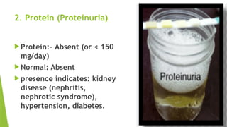 2. Protein (Proteinuria)
 Protein:- Absent (or < 150
mg/day)
 Normal: Absent
 presence indicates: kidney
disease (nephritis,
nephrotic syndrome),
hypertension, diabetes.
 